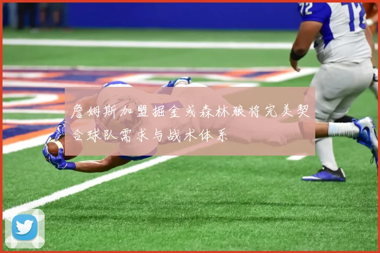 詹姆斯加盟掘金或森林狼将完美契合球队需求与战术体系