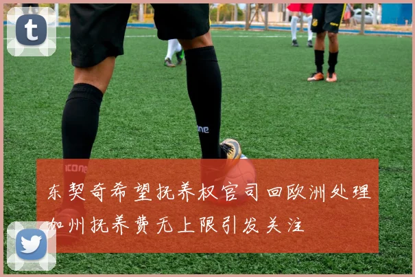 东契奇希望抚养权官司回欧洲处理加州抚养费无上限引发关注